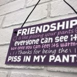 Funny Friendship Gift Best Friend Sign Novelty Birthday Gifts