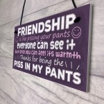 Funny Friendship Gift Best Friend Sign Novelty Birthday Gifts