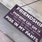 Funny Friendship Gift Best Friend Sign Novelty Birthday Gifts