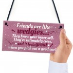 Novelty Funny Best Friend Birthday Christmas Gift Plaque Gifts