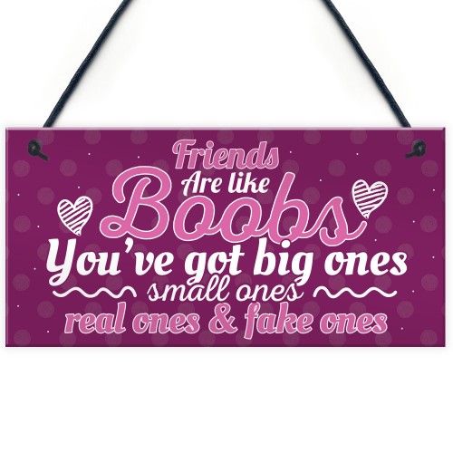 Funny Friends Are Like Boobs Novelty Best Friend Sign Gifts