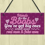 Funny Friends Are Like Boobs Novelty Best Friend Sign Gifts