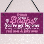 Funny Friends Are Like Boobs Novelty Best Friend Sign Gifts