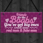 Funny Friends Are Like Boobs Novelty Best Friend Sign Gifts