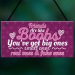 Funny Friends Are Like Boobs Novelty Best Friend Sign Gifts