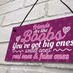 Funny Friends Are Like Boobs Novelty Best Friend Sign Gifts