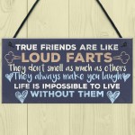 Funny Best Friend Friendship Plaques Shabby Chic Cute Thank You