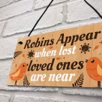 Handmade Robin Memorial Bereavement Garden Hanging Plaque