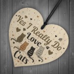 Funny Cat Sign For Home Wooden Heart Friendship Gift Pet Plaque