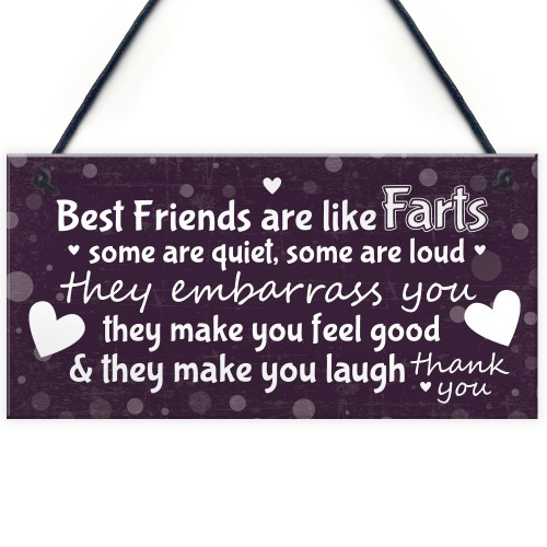 Funny Gift For Best Friend Birthday Christmas Sign Friendship