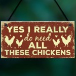 Funny Chicken Sign For Chicken Lovers Novelty Sign For Chicken