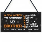 FUNNY Gift For Your Brother Hanging Plaque Birthday Gift For Him