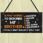 FUNNY Gift For Your Brother Hanging Plaque Birthday Gift For Him