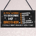 FUNNY Gift For Your Brother Hanging Plaque Birthday Gift For Him