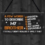 FUNNY Gift For Your Brother Hanging Plaque Birthday Gift For Him