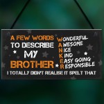 FUNNY Gift For Your Brother Hanging Plaque Birthday Gift For Him