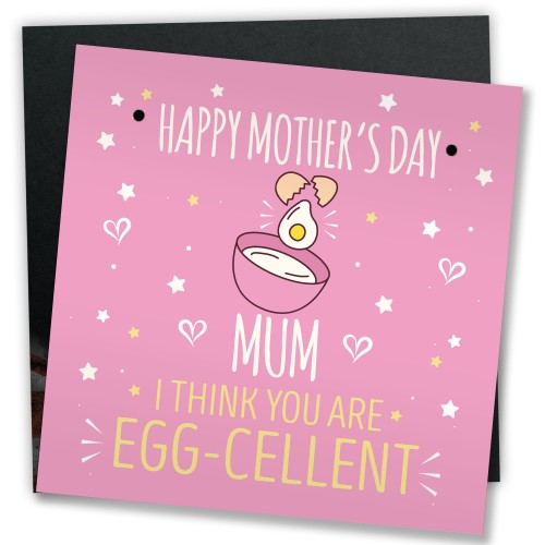 MOTHERS DAY Plastic Greetings Card For Mum Plaque Funny Gift