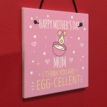 MOTHERS DAY Plastic Greetings Card For Mum Plaque Funny Gift