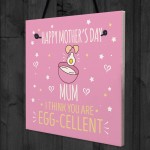 MOTHERS DAY Plastic Greetings Card For Mum Plaque Funny Gift