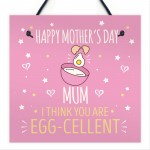 MOTHERS DAY Plastic Greetings Card For Mum Plaque Funny Gift