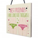 FUNNY BEST FRIEND CARD Friendship Plaque Funny Birthday Gifts