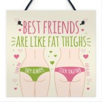 FUNNY BEST FRIEND CARD Friendship Plaque Funny Birthday Gifts