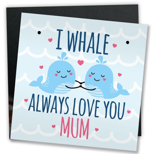 Funny Joke Mothers Day Birthday Card Plaque Gift For Mum