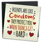 Funny Rude Best Friend Birthday Card Friendship Sign Novelty