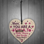 Funny Rude MOTHERS DAY Gift CARD FUNNY MUM MOTHER Sign