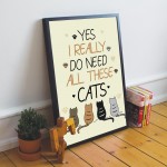 Funny Cat Print Bedroom Wall Art Hanging Wall Decoration Gift