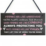 FUNNY Best Friend Gift Best Friend Sign Friendship Gift Plaque