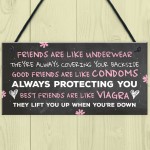 FUNNY Best Friend Gift Best Friend Sign Friendship Gift Plaque