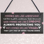 FUNNY Best Friend Gift Best Friend Sign Friendship Gift Plaque