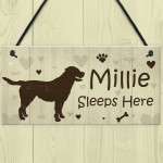 Funny Dog Signs For Home Personalised Wall Plaque Sign Xmas Gift