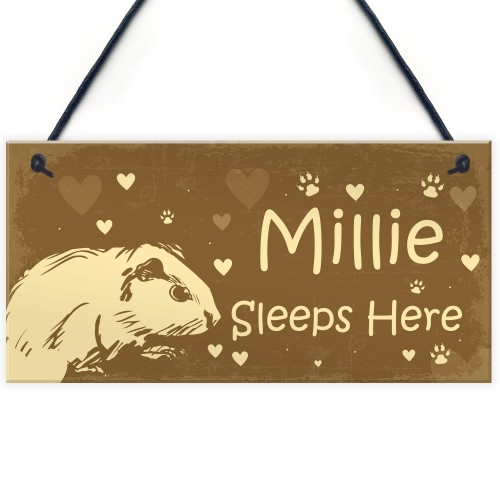 Guinea Pig Sign Personalised Beautiful Handmade Gift Sign