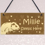 Guinea Pig Sign Personalised Beautiful Handmade Gift Sign