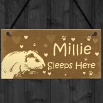 Guinea Pig Sign Personalised Beautiful Handmade Gift Sign