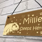 Guinea Pig Sign Personalised Beautiful Handmade Gift Sign