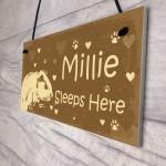 Guinea Pig Sign Personalised Beautiful Handmade Gift Sign