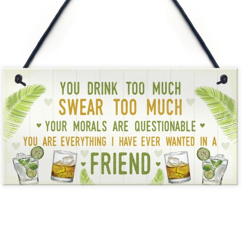 Funny Best Friend Friendship Sign Drink Too Much Alcohol Gift