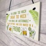 Funny Best Friend Friendship Sign Drink Too Much Alcohol Gift