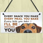 Dog Signs For Home Funny Dog Lover Gift House Kitchen Sign Gift