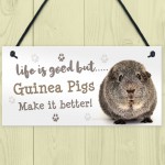 Guinea Pig Sign Handmade Gift Sign For Guinea Pig Owners