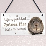 Guinea Pig Sign Handmade Gift Sign For Guinea Pig Owners