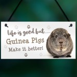 Guinea Pig Sign Handmade Gift Sign For Guinea Pig Owners