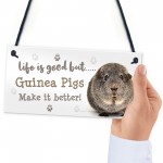 Guinea Pig Sign Handmade Gift Sign For Guinea Pig Owners