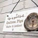 Guinea Pig Sign Handmade Gift Sign For Guinea Pig Owners