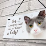 Really Do Need All These Cats Sign Funny Crazy Cat Lady Sign