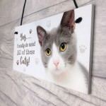 Really Do Need All These Cats Sign Funny Crazy Cat Lady Sign