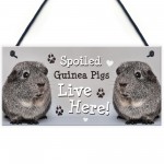 Spoiled Guinea Pigs Live Here Handmade Gift Sign For Guinea Pigs